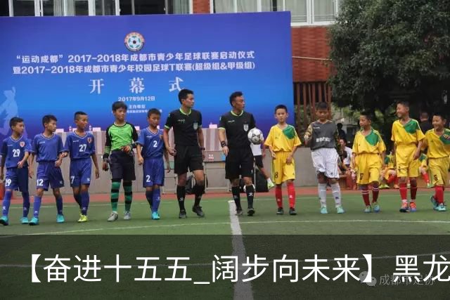 【奋进十五五 阔步向未来】黑龙江农机产业正加速迈向高端化智能化绿色化